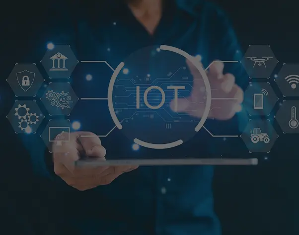 Data-as-a-Service providers